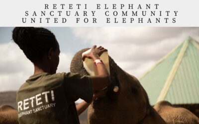 Reteti baby elephant sanctuary
