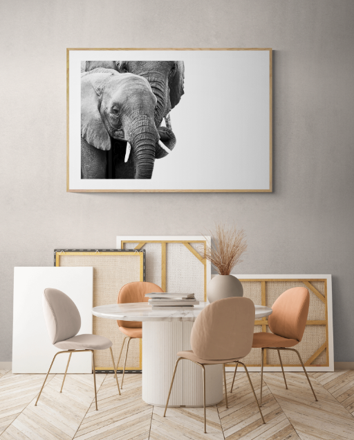 A fine art black and white photographic print of two elephants hanging on the wall in a studio
