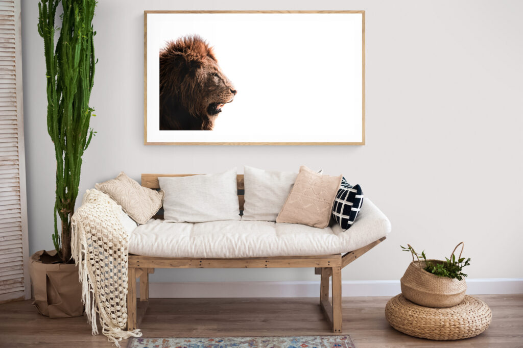 lion photo on a wall in a living room 