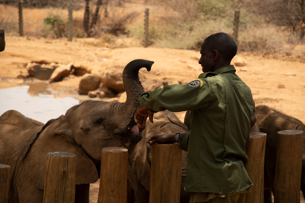 Reteti elephant sanctuary community united for elephants