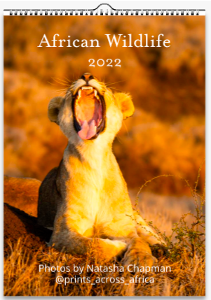 African wildlife calendar 2022