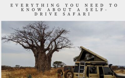 Everything you need to know for a self-drive safari