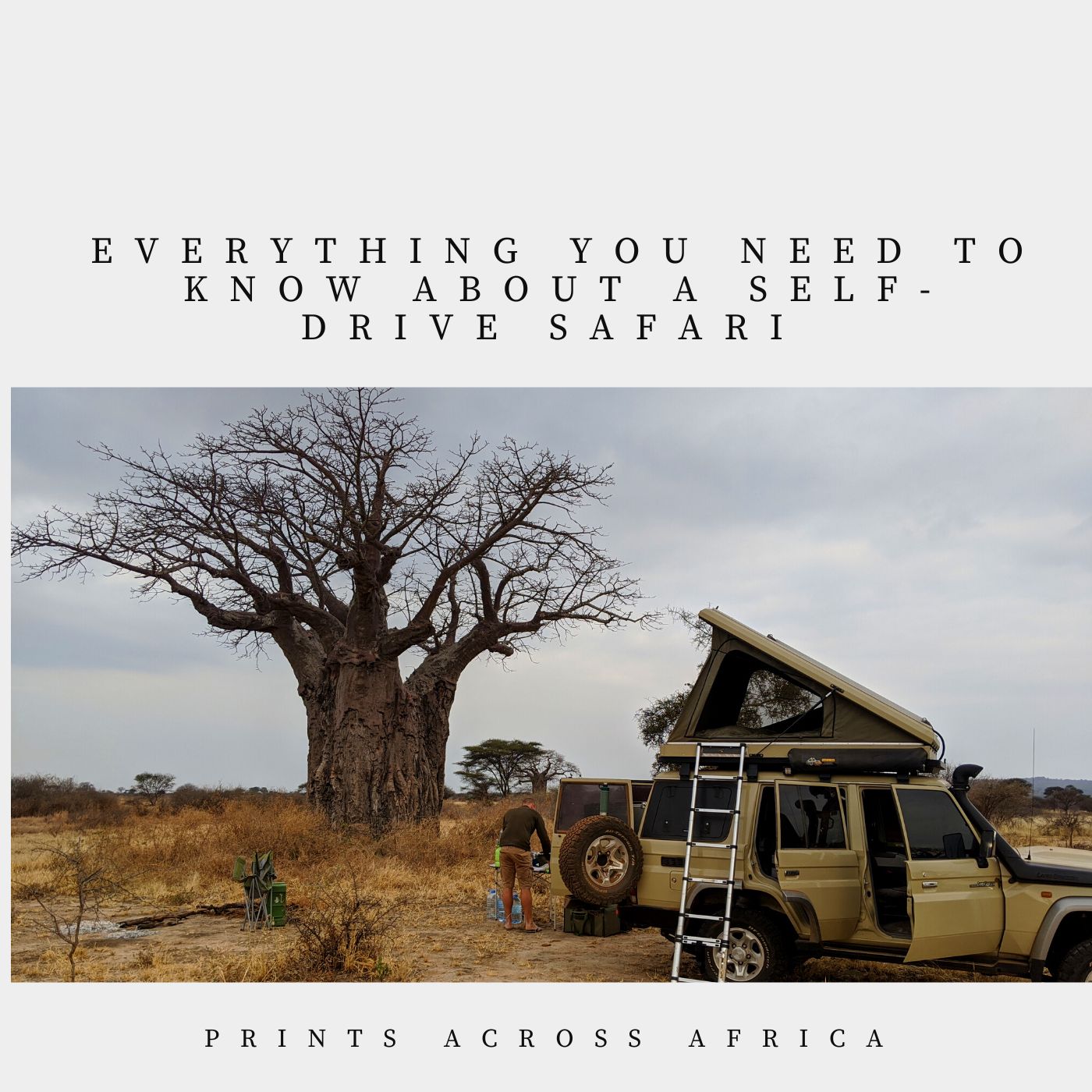 Everything you need to know about a self-drive safari