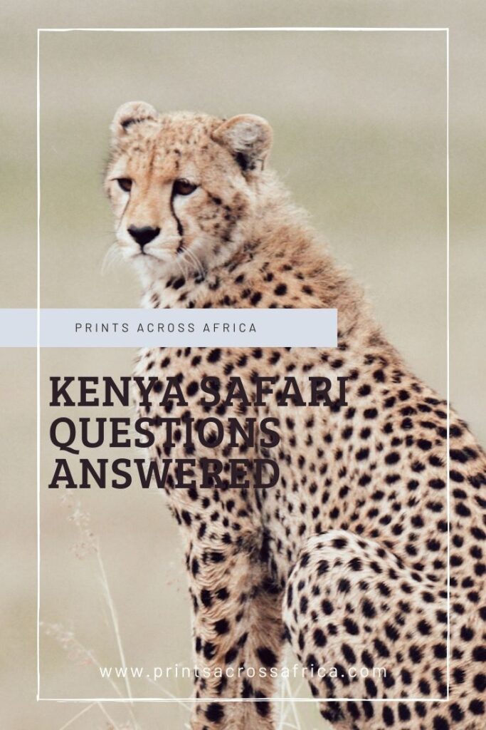 Kenya Safari questions answered 