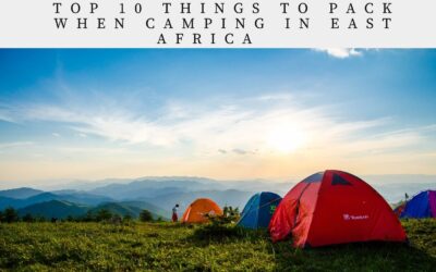 Top 10 things to pack when camping in East Africa