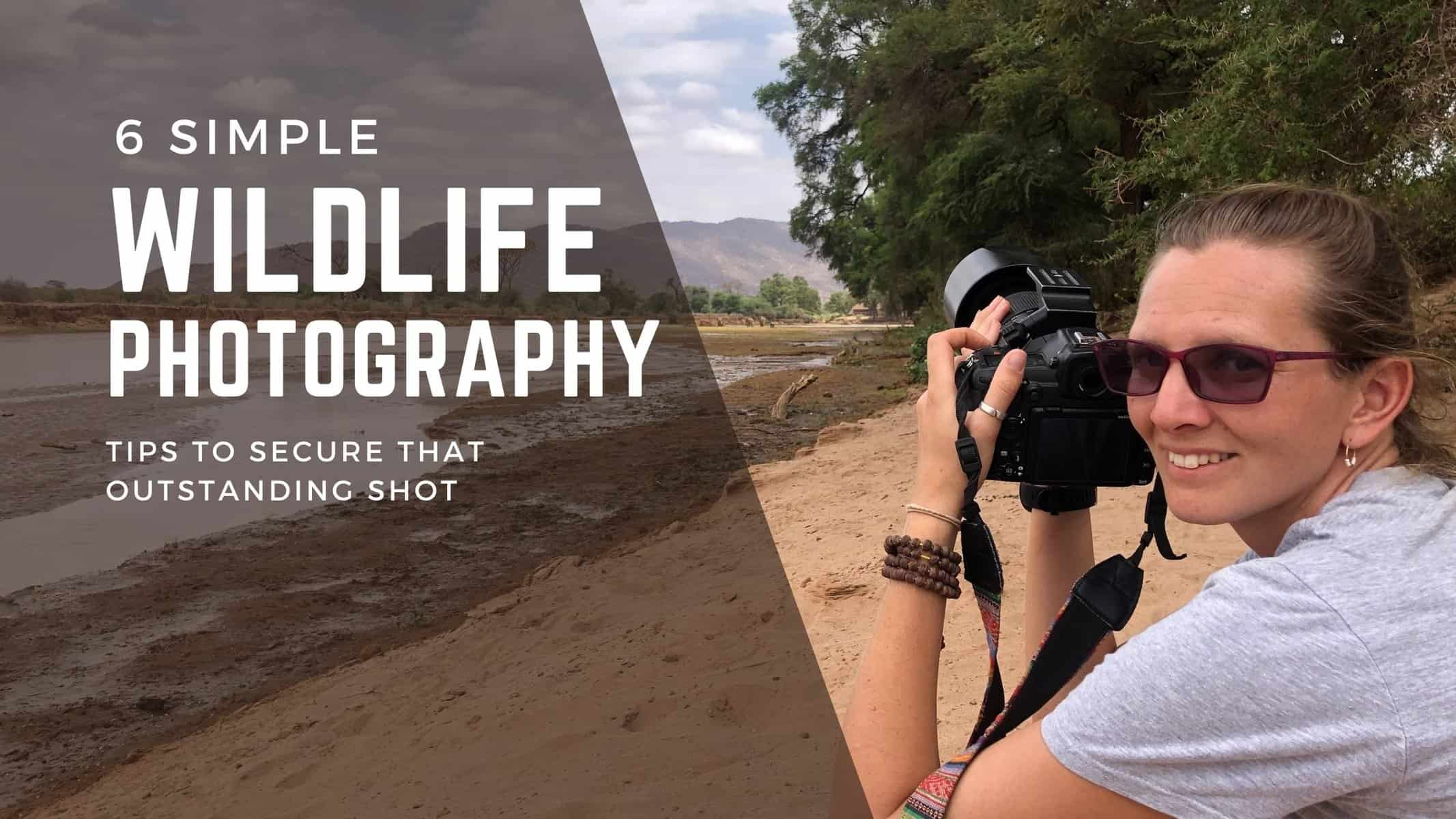 6 simple wildlife photography tips to secure that outstanding shot