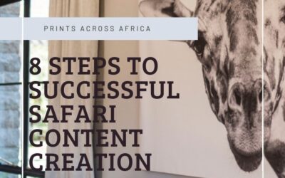 8 steps to successful safari content creation