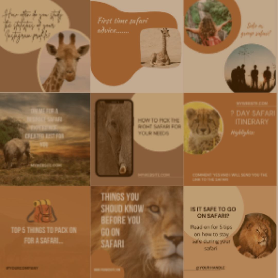 safari business canva templates 