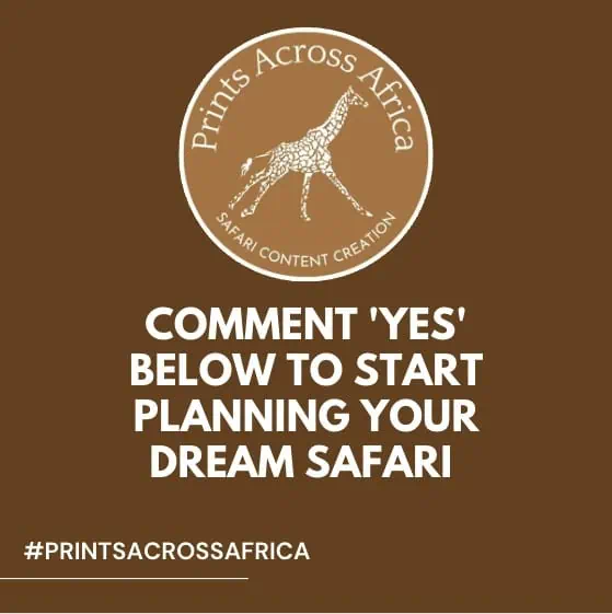 use a call to action on your instagram posts 