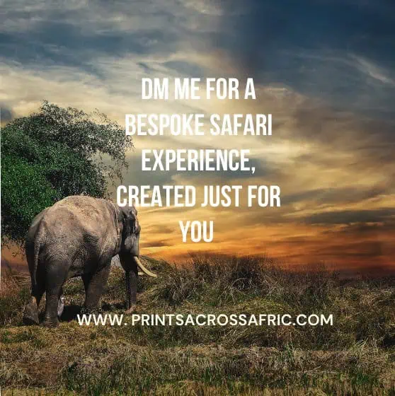 use a call to action on your instagram posts 