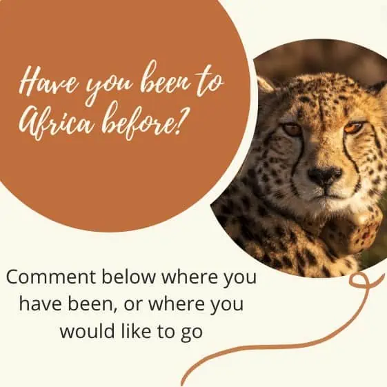 use a call to action on your instagram posts 