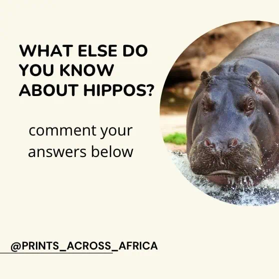 use a call to action on your instagram posts 