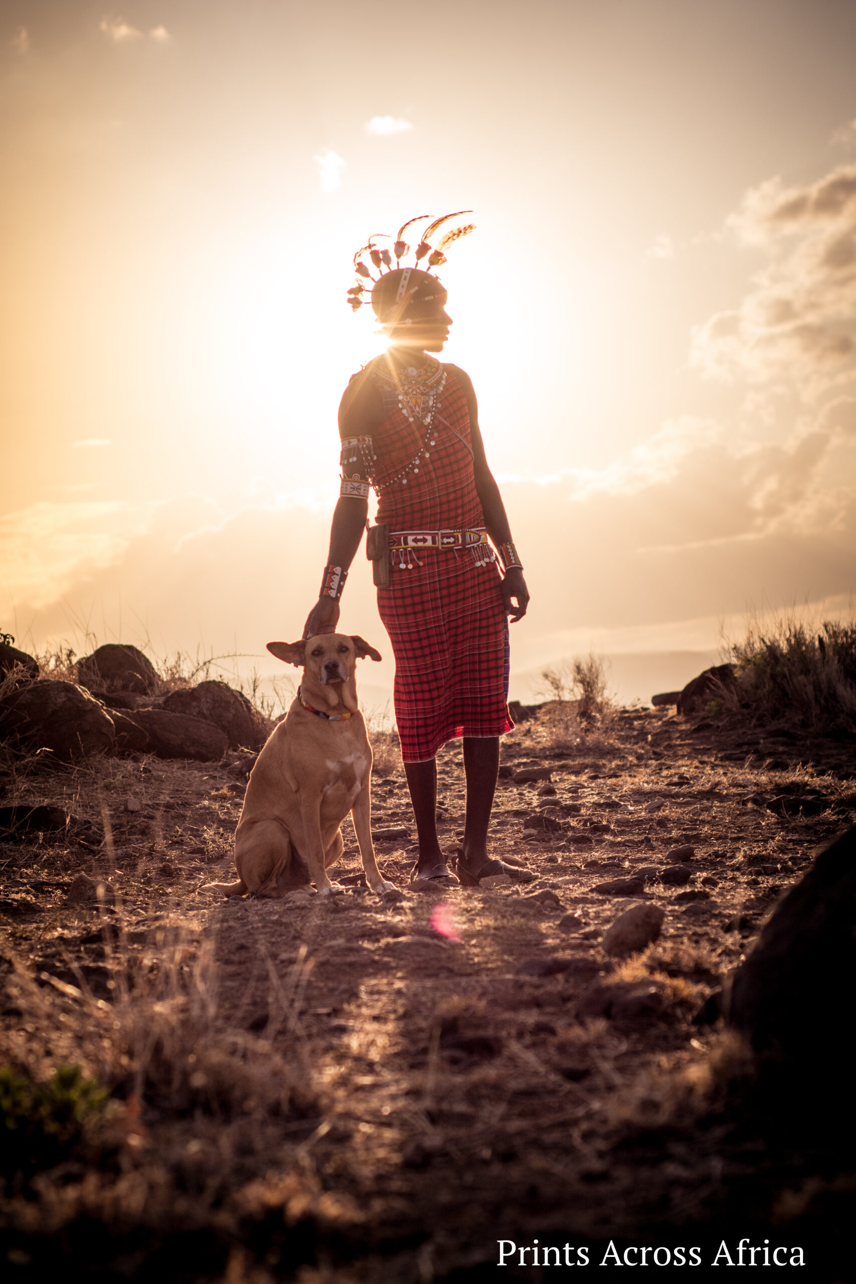 A Samburu and a dog