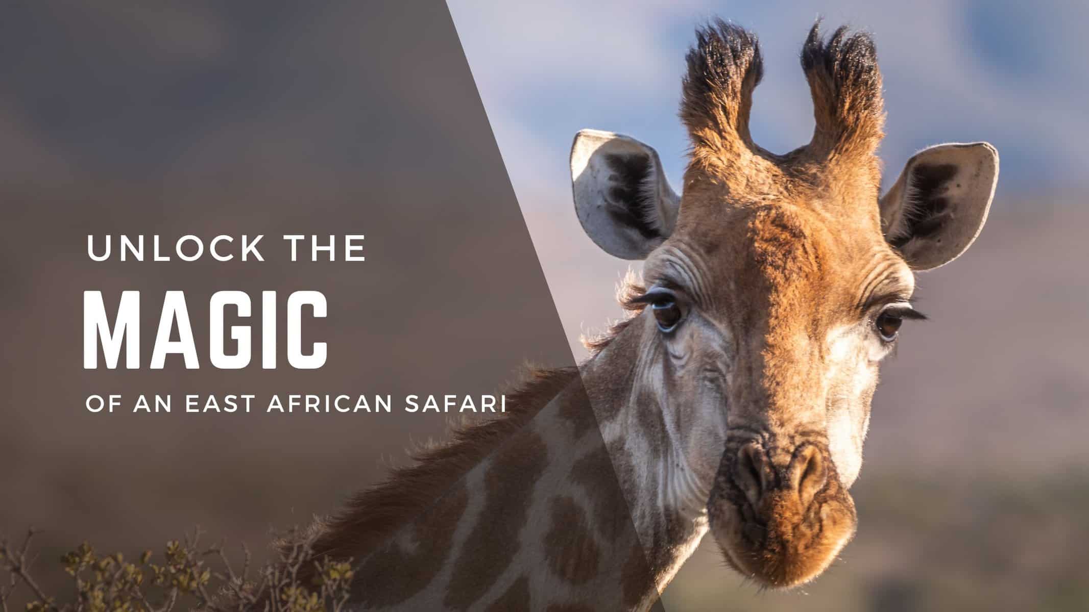 Unlock the magic of an east African safari