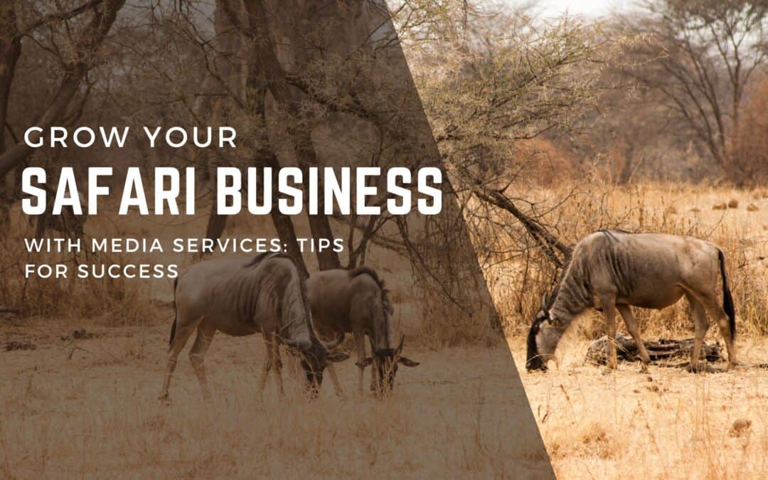 Grow Your Safari Business with Media Services: Tips for Success!