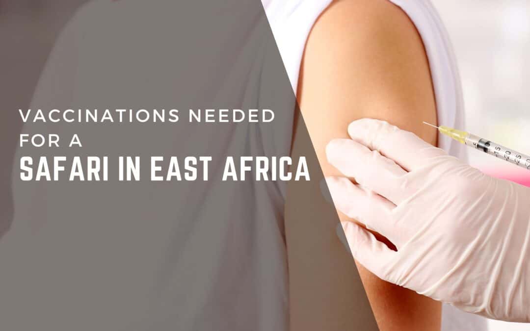 Vaccinations Needed for a Safari in East Africa