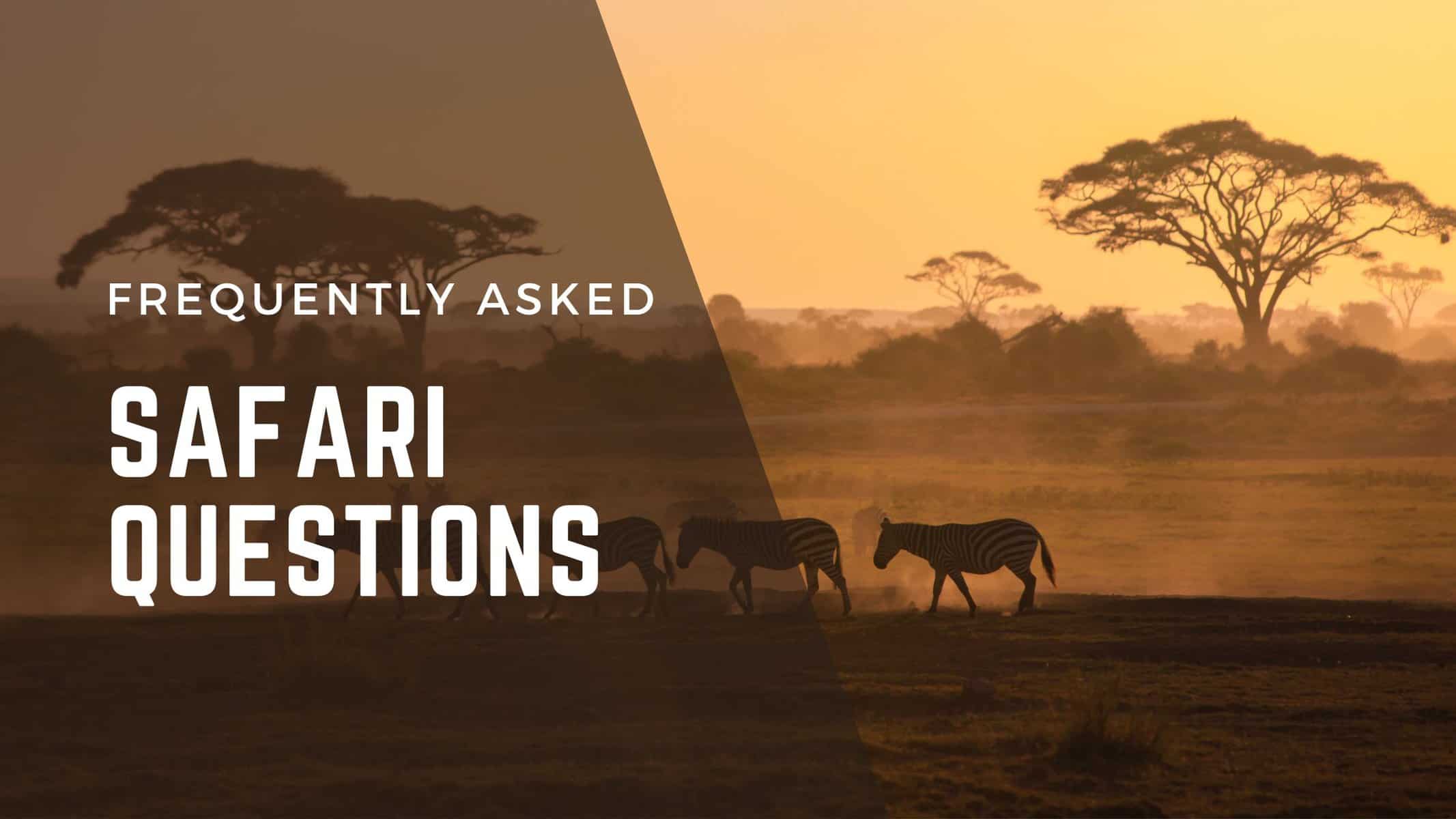 Frequently Asked Safari Questions
