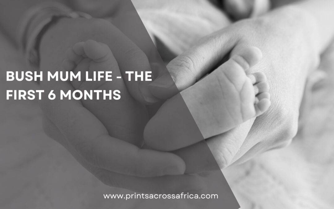 Bush mum life – the first 7 months