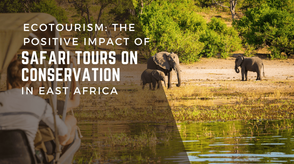The Positive Impact of Safari Tours on Conservation in East Africa