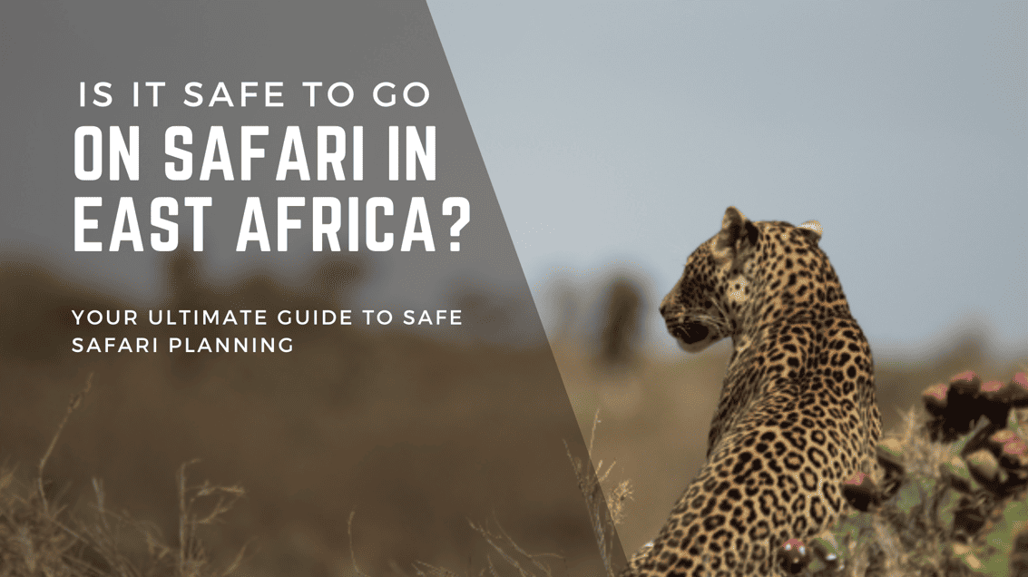 Is it Safe to Go on Safari in East Africa Your Ultimate Guide to Safe Safari Planning.