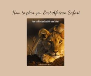 How to plan your East African Safari