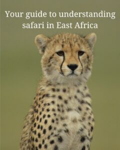 Your guide to understanding safari in East Africa 