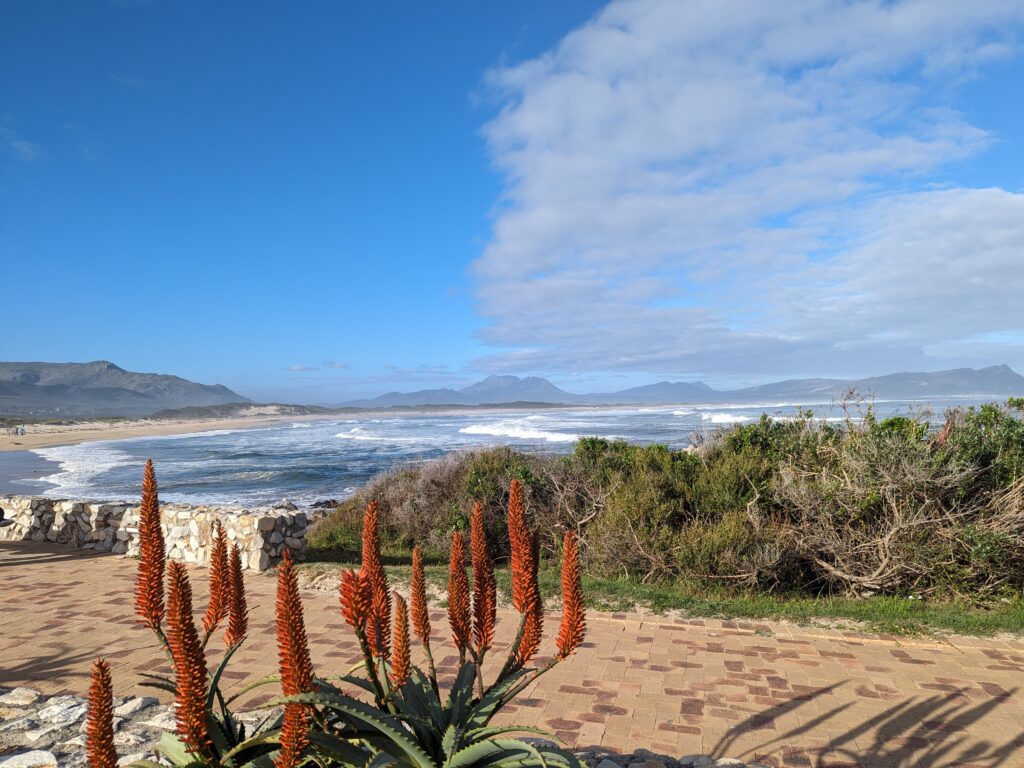 view of the beach 