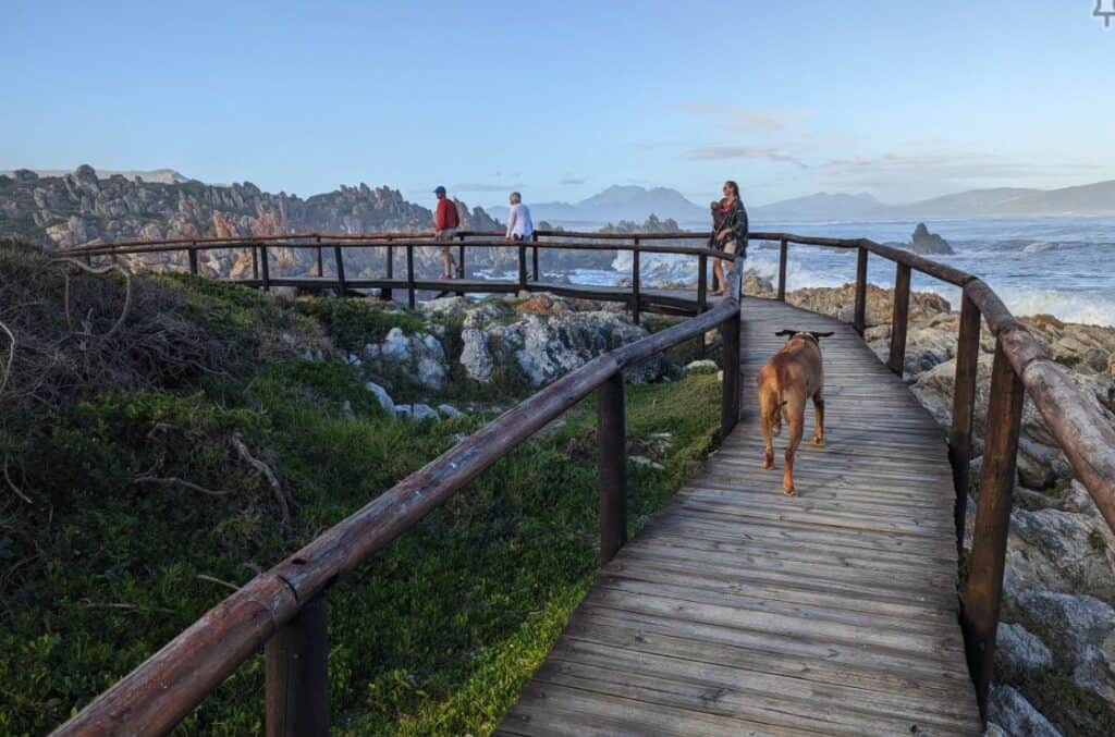 board walk south africa 