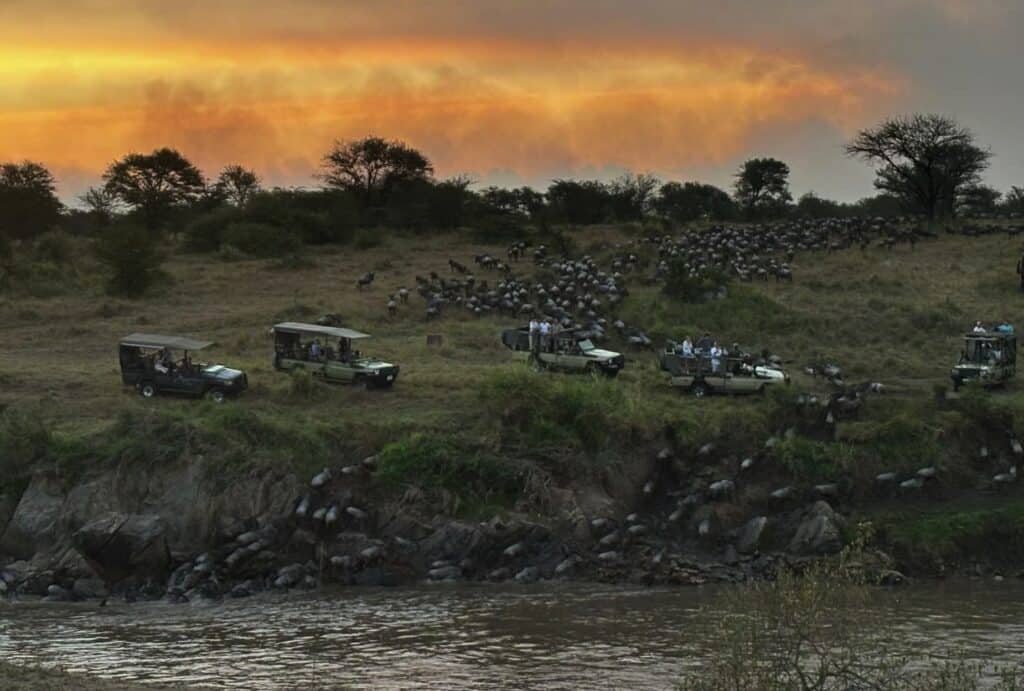 Migration Serengeti